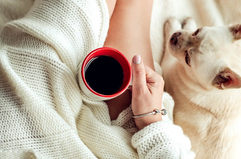 Cuidados com o cachorro no inverno