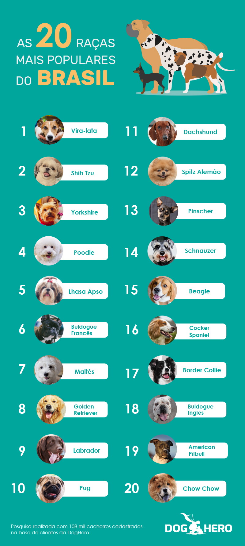 20 raças de cachorro mais populares do Brasil - Pesquisa exclusiva com 100.000 cães cadastrados na DogHero - Blog DogHero