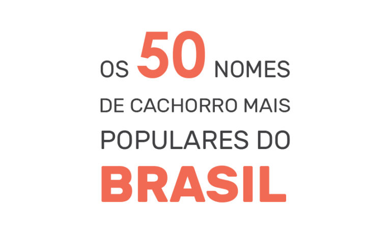 50 nomes de cachorro mais populares do Brasil - Pesquisa exclusiva com 100.000 cães cadastrados na DogHero - Blog DogHero