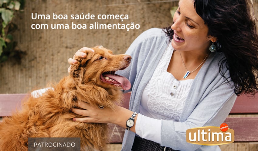 Alimento superpremium para cães: o que tem de diferente? Por que custa mais caro? - Blog DogHero