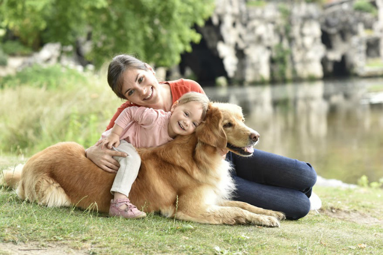 A família vai aumentar? Veja dicas para integrar crianças, bebês e cães