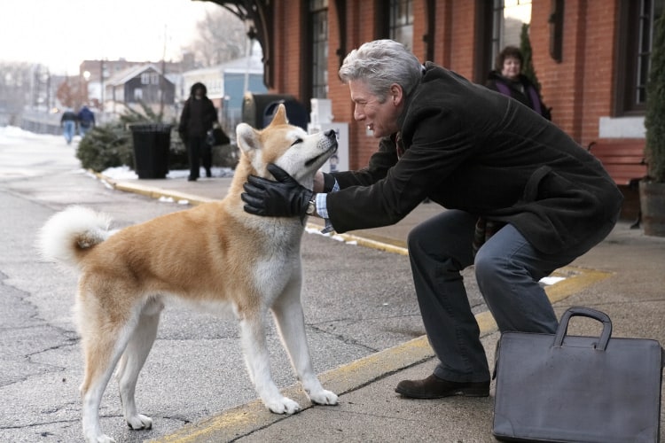 filmes-de-cachorro-11