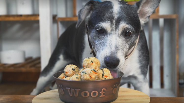 Almôndega de frango e cenoura para cachorro