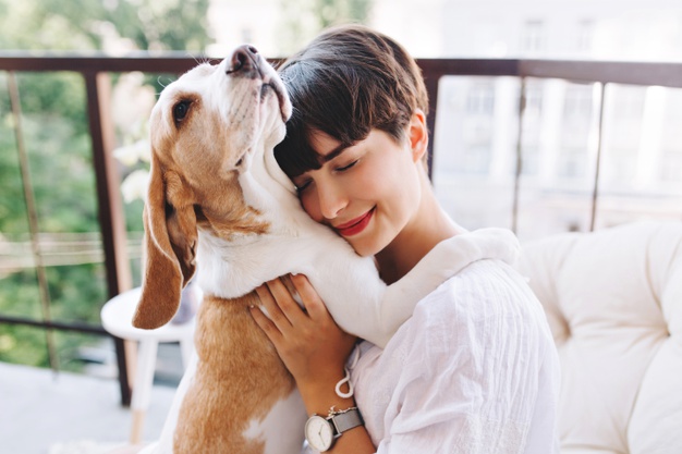 cachorro abraçando tutor