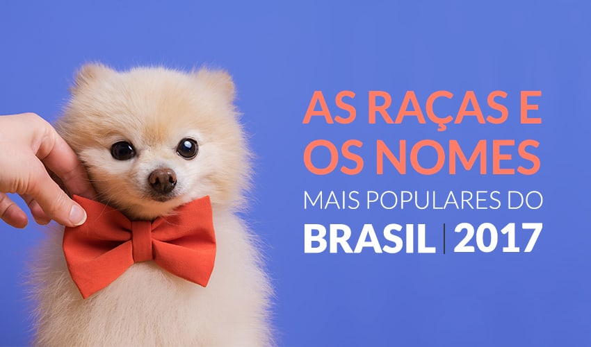 Censo Canino 2017: consulte nomes, raças e muito mais!