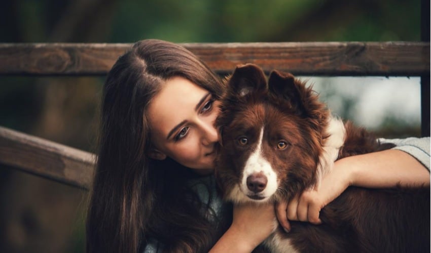 Veja como proteger seu cãozinho dos riscos do ano-novo