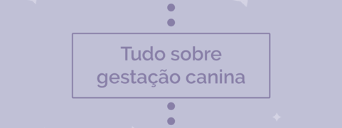 gestação de cachorro