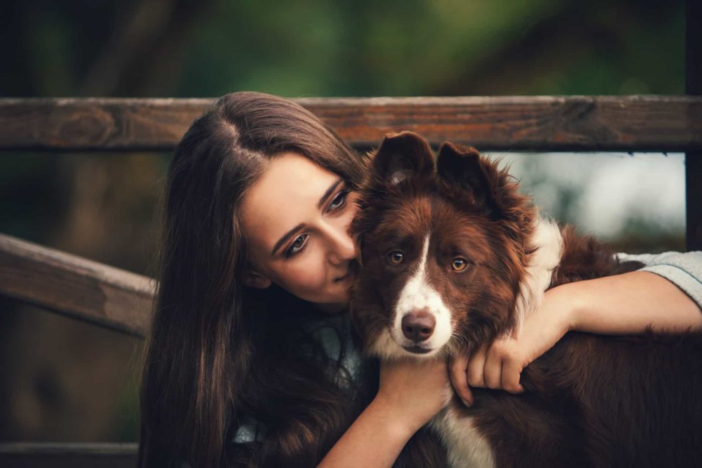 Cão de guarda