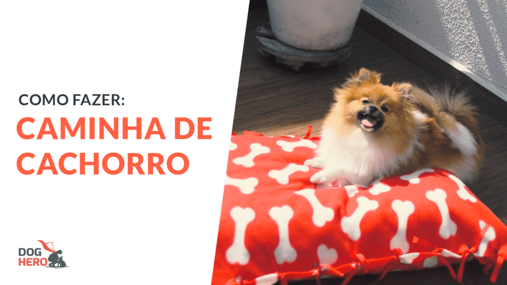 Como fazer caminha de cachorro