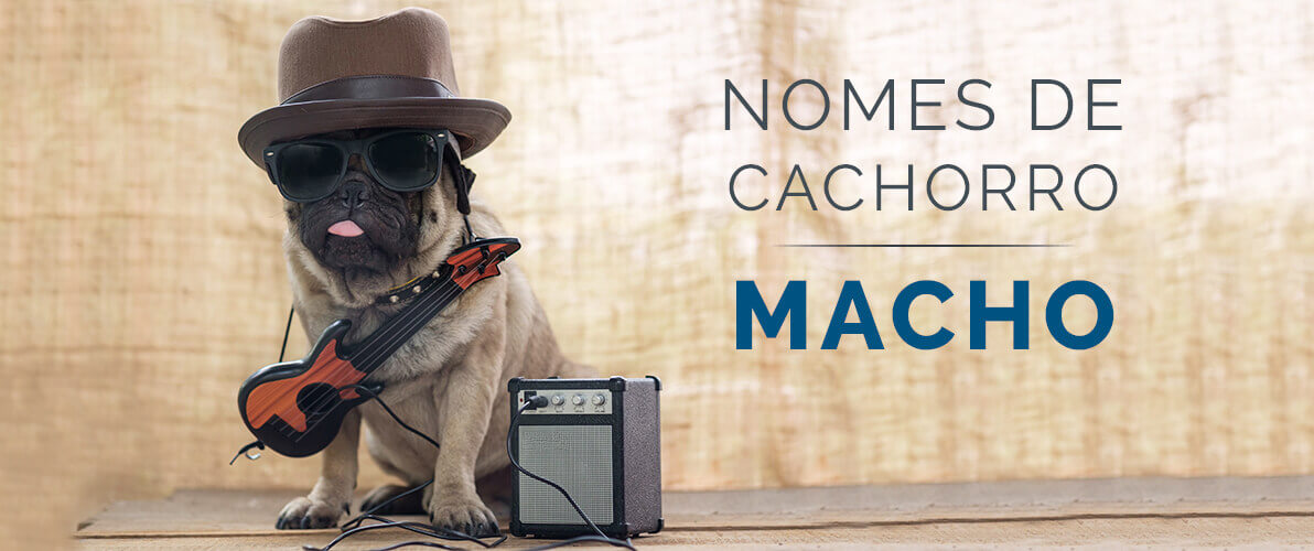 nomes de cachorro Macho