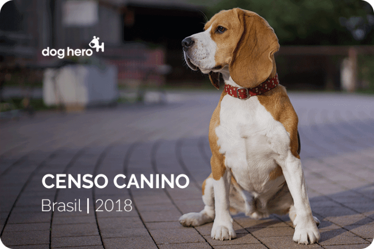 censo canino 2018 doghero