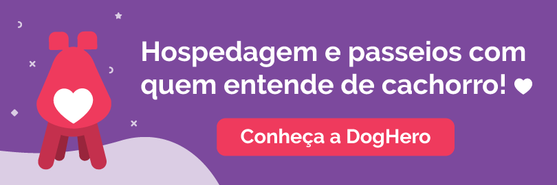 a doghero oferece hospedagem domiciliar e passeios para cães de qualidade. saiba mais!