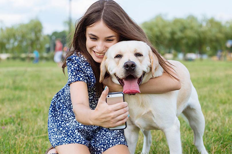 labrador é a sétima raça de cachorro mais inteligente