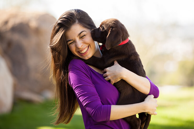 Doação de cachorro filhote requer cuidados especiais