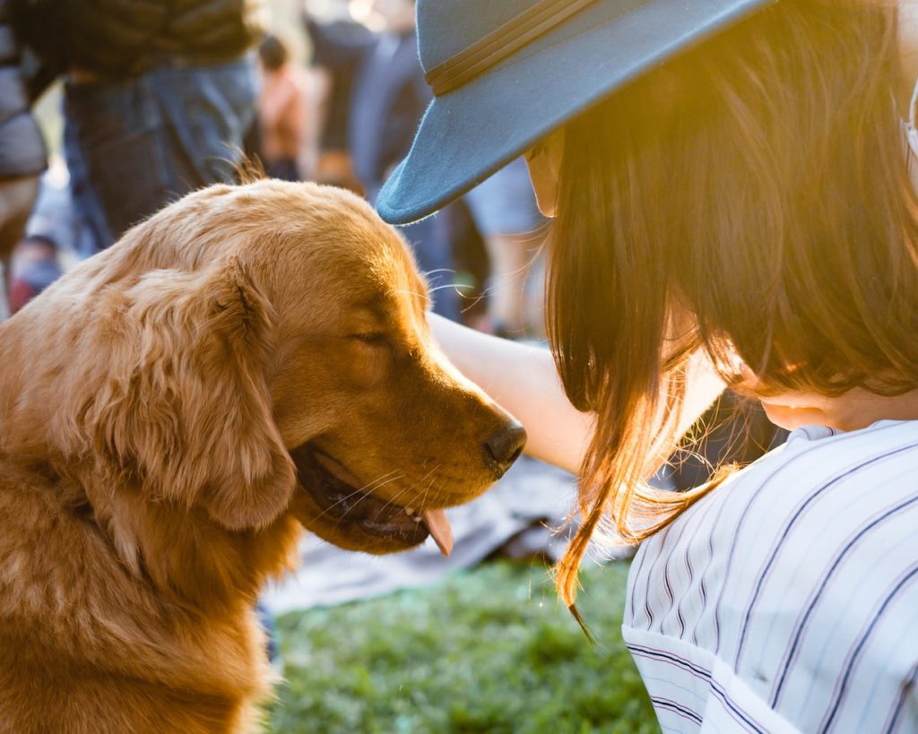 Na imagem, um cachorro e sua dona em um parque se divertem.