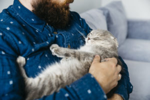 cat sitter cuidando de um gatinho. Gatinho sendo segurado como um bebê, por um homem barbudo de camisa jeans. Foco no gatinho.