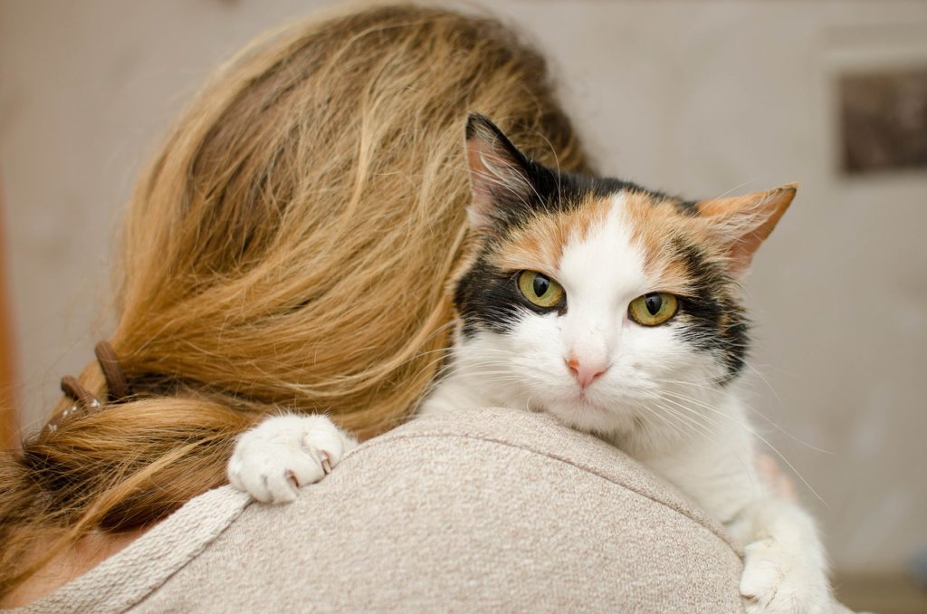 gato abraçado a sua dona que está de costas