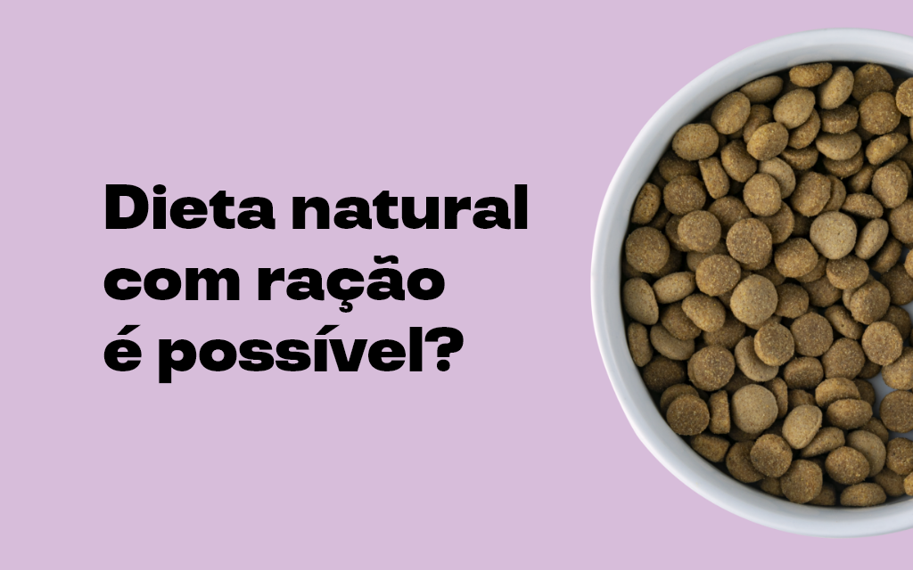 fundo lilás com pote de ração e a frase 'dieta natural com ração é possível?'